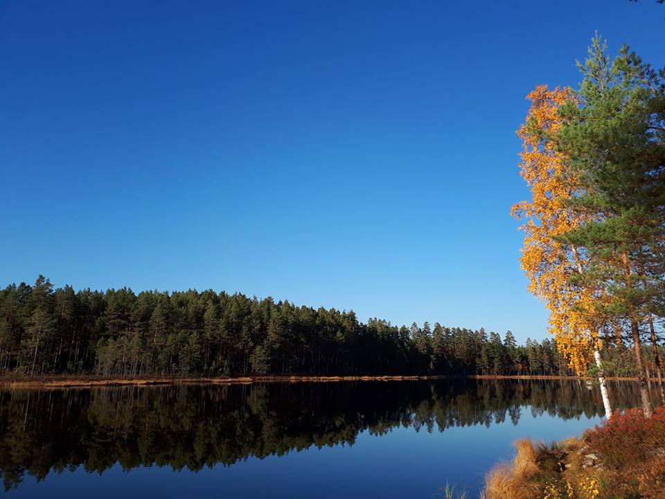 Zweeds meer in de herfst