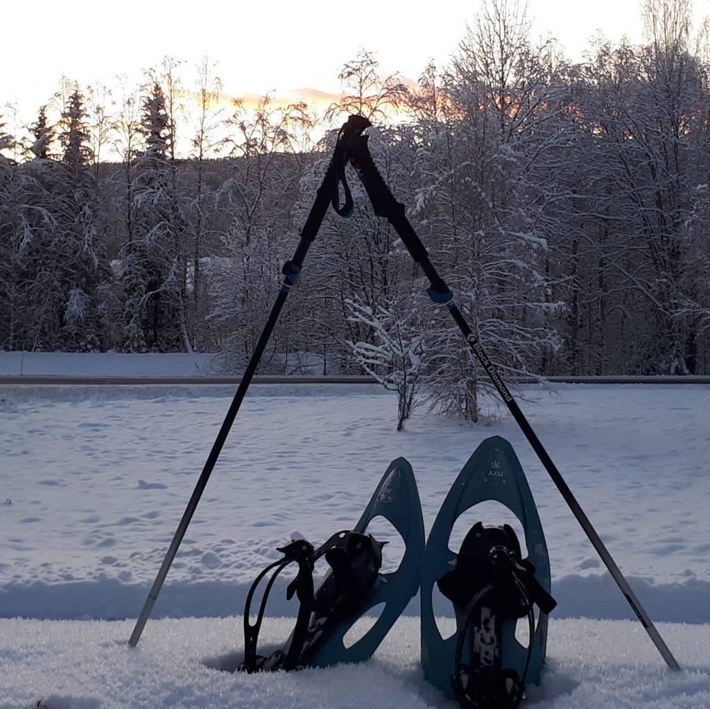een paar sneeuwschoenen met stokken