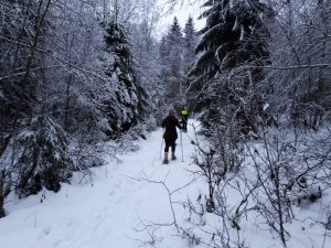 sneeuwschoenwandeling door het bos