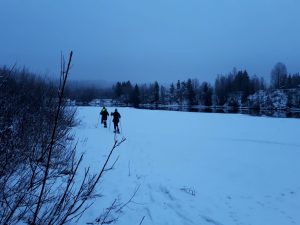 sneeuwschoenwandeling over een vlakte